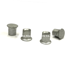 Écrou à rivets industriel durable pour la fixation du profil de barre omnibus